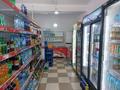 Магазины и бутики · 250 м² за 220 млн ₸ в Шымкенте, Енбекшинский р-н — фото 46
