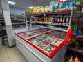 В продаже минимаркет · 364.8 м² за 100 млн ₸ в Узунколе — фото 13