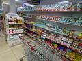 В продаже минимаркет · 364.8 м² за 100 млн ₸ в Узунколе — фото 8
