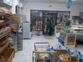 Магазины и бутики, склады • 444 м² за 115 млн 〒 в Атырау, мкр Береке — фото 24