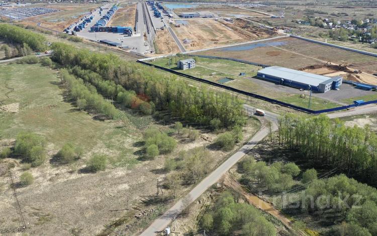 Участок · 1 га, Даулет — Кайрат за 60 млн ₸ в Жаналык (Талгарский район) — фото 2