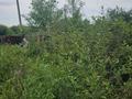 Жер телімі · 12 сотық, Луговая-4 13 — Зерендинские дачи, бағасы: 900 000 ₸ в Кокшетау — фото 10