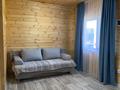 Дом · 3 комнаты · 51 м², Дворец спорта — Оз.Шалкар за 30 000 ₸ в Усть-Каменогорске, Ульбинский — фото 4