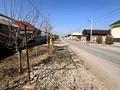 Отдельный дом · 8 комнат · 250 м² · 8 сот., Самал 3 за 37 млн ₸ в Шымкенте — фото 13