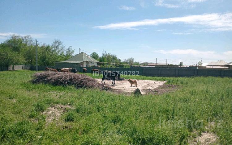 Участок · 10 соток, Полевая 218 за 3 млн ₸ в Шымкенте — фото 2