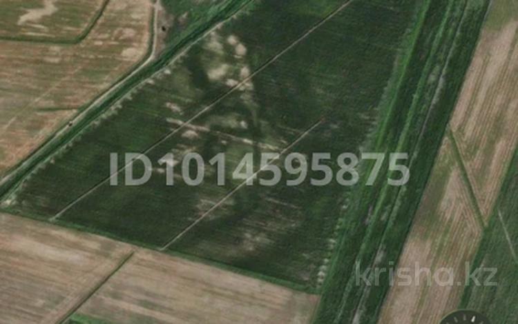 Жер телімі · 10.8 га, Жаркент, бағасы: 10 млн ₸ — фото 2