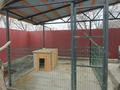 Отдельный дом · 7 комнат · 460 м² · 11 сот., Алматы 225 за 110 млн ₸ в Кенена Азербаева (Покровка) — фото 16