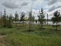 1-комнатная квартира · 44 м² · 16/18 этаж, Е 882 участок 7 за 35 млн ₸ в Астане, Нура р-н — фото 11