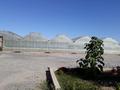 Сельское хозяйство • 2000 м² за 500 млн 〒 в Шымкенте, Каратауский р-н — фото 9