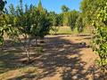 Жеке үй · 3 бөлме · 82.7 м² · 25.7 жүзд., Исагулова 29, бағасы: 18 млн ₸ в Мерке — фото 11