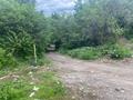 Участок · 60 соток, мкр Горный Гигант за 205 млн ₸ в Алматы, Медеуский р-н