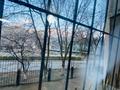 2-комнатная квартира · 55 м² · 1/5 этаж, 13-й мкр, 13-ш/а. 27 за 18 млн ₸ в Актау — фото 13