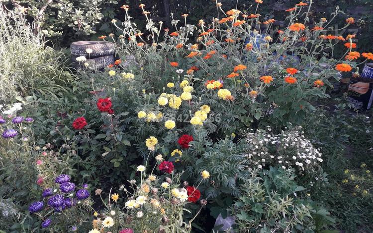 Дача · 1 комната · 15 м² · 7.5 сот., Мичуринец ул.Карьерная 2/2 — Район 2яПоликлиника за 2.3 млн 〒 в Костанае — фото 24