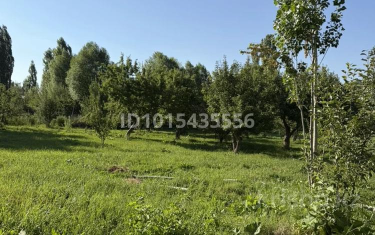 Участок · 90 соток, Әзімбай Тұрдалиев 2 — Балдыберек ауылында орналасқан жер, қасқасудың арғы жағында. за 63 млн ₸ в Каскасу — фото 2