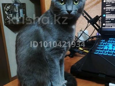 Сниму однокомнатную квартиру на длительный…, 8-й микрорайон в Костанае