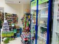 Хозяин недвижимости ! продуктовый магазин · 174 м² за 90 млн ₸ в Астане, Алматы р-н — фото 18