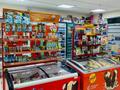 Хозяин недвижимости ! продуктовый магазин · 174 м² за 90 млн ₸ в Астане, Алматы р-н — фото 23