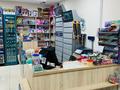 Хозяин недвижимости ! продуктовый магазин · 174 м² за 90 млн ₸ в Астане, Алматы р-н — фото 30