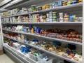 Хозяин недвижимости ! продуктовый магазин · 174 м² за 90 млн ₸ в Астане, Алматы р-н — фото 35