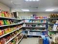 Хозяин недвижимости ! продуктовый магазин · 174 м² за 90 млн ₸ в Астане, Алматы р-н — фото 7
