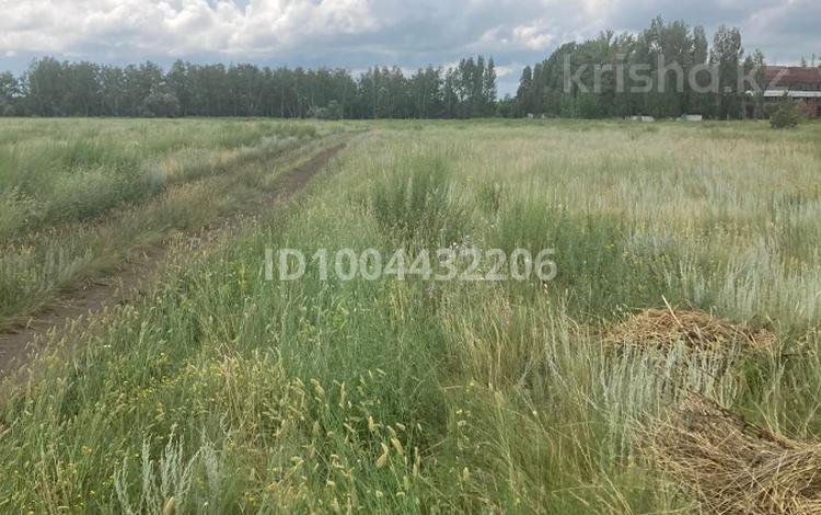 Жер телімі · 600 сотық, Акмолинская область, Шортардинский район, пос.Шортанды (промзона), бағасы: 48 млн ₸ — фото 2