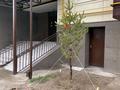 4-бөлмелі пәтер · 159.2 м² · 1/7 қабат, Гани Иляева 113/5 — Иляева-Акпан батыра, бағасы: 68 млн ₸ в Шымкенте, Енбекшинский р-н — фото 35