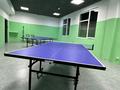 КиШ Спорт БаР Магазин Разливных напитков Ping Pong Настольный теннис · 183.5 м², бағасы: 8 млн ₸ в Алматы, Турксибский р-н — фото 7
