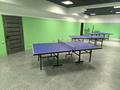 КиШ Спорт БаР Магазин Разливных напитков Ping Pong Настольный теннис · 183.5 м², бағасы: 8 млн ₸ в Алматы, Турксибский р-н — фото 19