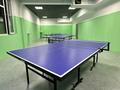 КиШ Спорт БаР Магазин Разливных напитков Ping Pong Настольный теннис · 183.5 м², бағасы: 8 млн ₸ в Алматы, Турксибский р-н — фото 6