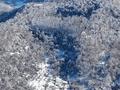 Жер телімі · 12 сотық, Медеуский р-н, бағасы: 18 млн ₸ в Алматы — фото 4