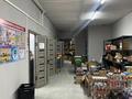 Свободное назначение, магазины и бутики, склады, медцентры и аптеки · 500 м² за 111 ₸ в Сарыкемере — фото 15