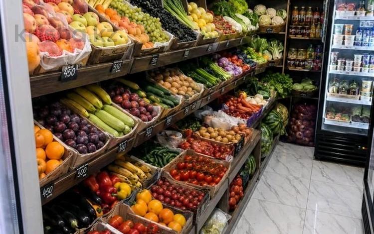 Магазины и бутики · 20 м² за 120 000 ₸ в Астане, Есильский р-н — фото 2