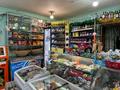 Магазин БАХУС продуктовый, 100 м² за 26 млн 〒 в Темиртау — фото 6