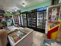 Магазин БАХУС продуктовый · 100 м², бағасы: 24.9 млн 〒 в Темиртау — фото 6