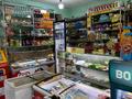 Магазин БАХУС продуктовый · 100 м², бағасы: 24.9 млн 〒 в Темиртау — фото 9