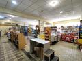 Магазины и бутики • 375 м² за 47 млн 〒 в Сарани — фото 4