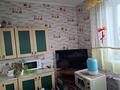 Отдельный дом · 4 комнаты · 100 м² · 10 сот., Жибек жилы 32 за 18 млн ₸ в Топаре — фото 4