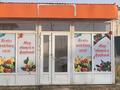 Свободное назначение, магазины и бутики • 12 м² за 500 000 〒 в Шымкенте, Каратауский р-н