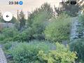Участок · 30 соток, мкр Кунгей 5 — Дом 29 за 97 млн ₸ в Караганде, Казыбек би р-н — фото 17