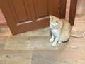2-бөлмелі пәтер · 53 м² · 3/5 қабат, Молдагуловой — Магазин вольный стиль, бағасы: 18.5 млн ₸ в Уральске — фото 15