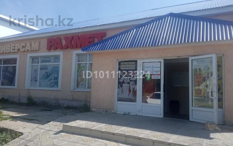 Свободное назначение · 90 м² за 250 000 ₸ в Аксае — фото 2
