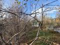 Жеке үй · 4 бөлме · 235 м² · 5.39 жүзд., Қарағайлы ш/а., Арал 37, бағасы: 125 млн ₸ в Алматы, Наурызбайский р-н — фото 8