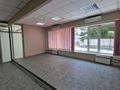 Еркін · 250 м², бағасы: ~ 1.8 млн ₸ в Алматы, Алмалинский р-н — фото 14