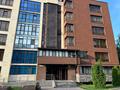 5-бөлмелі пәтер · 220 м² · 1/6 қабат, Рахмадиева 2/6 — Выше Аль-Фараби-Сыргабекова, бағасы: 255 млн ₸ в Алматы, Бостандыкский р-н — фото 61