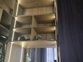 2-комнатная квартира · 56 м² · 8/10 этаж, Абая 38 за 550 000 ₸ в Алматы, Бостандыкский р-н — фото 15