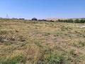 Участок · 9 соток, мкр Бадам за 3.9 млн ₸ в Шымкенте, Енбекшинский р-н — фото 2