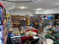 Свободное назначение, магазины и бутики, салоны красоты, развлечения · 105 м² за 47 млн ₸ в Косшы — фото 10