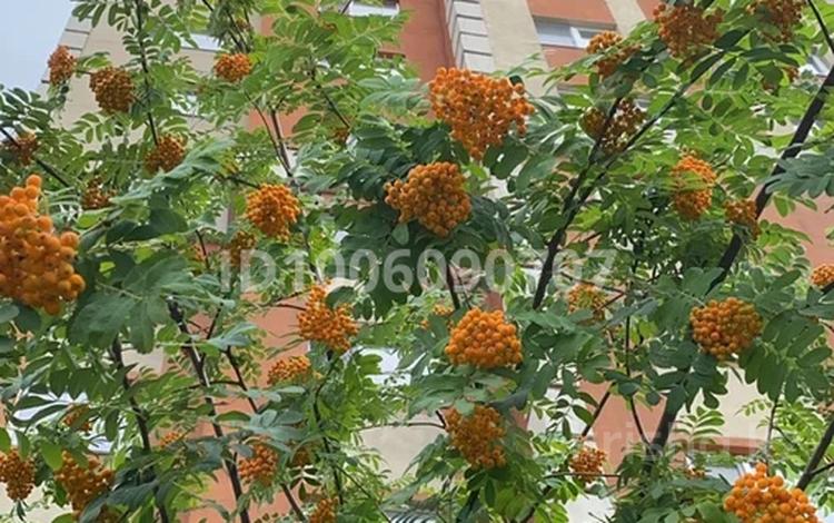 4-бөлмелі пәтер · 110 м² · 2/14 қабат, Таугүл-1 ш/а., Сулейменова 24а — Пятницкая, бағасы: 92 млн ₸ в Алматы, Ауэзовский р-н — фото 42