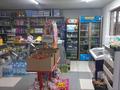 Магазины и бутики • 100 м² за 33 млн 〒 в Талгаре — фото 27