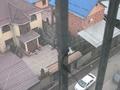 1-бөлмелі пәтер · 32 м² · 7/10 қабат, мкр Шугыла, Алатау 14, бағасы: 19.9 млн ₸ в Алматы, Наурызбайский р-н — фото 11